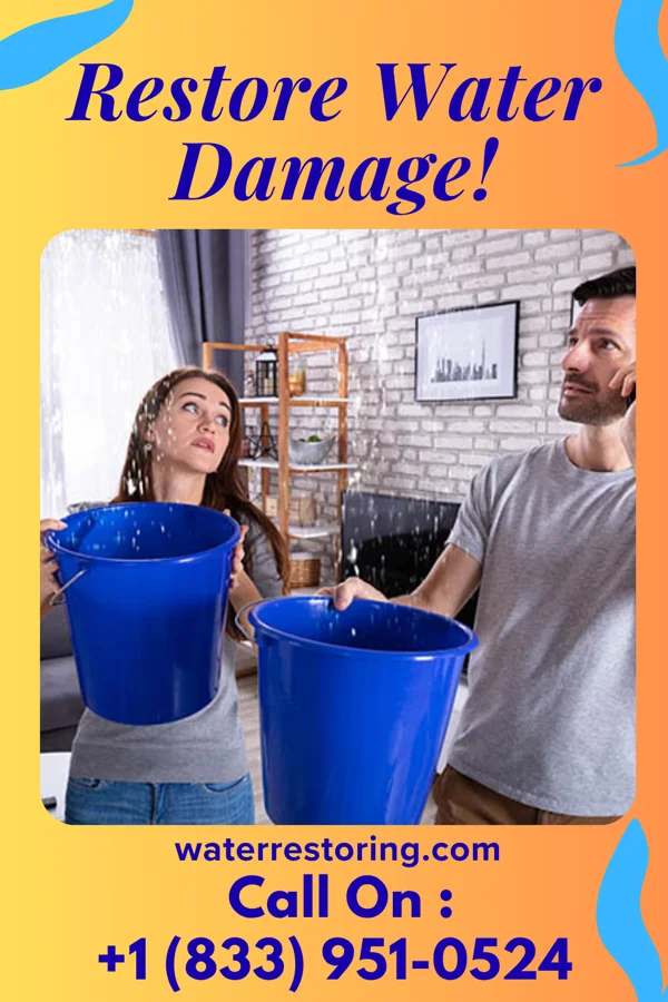 water restoration Priority Emergency Restoration Specialists Floridatown