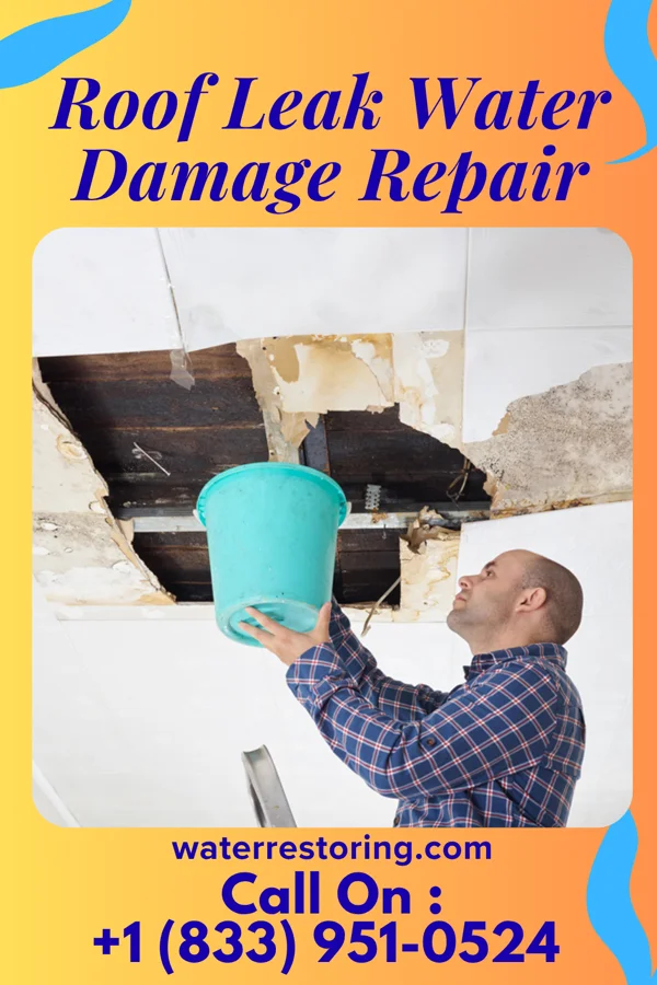 Roof Leak Water Damage Repair in Floridatown, FL