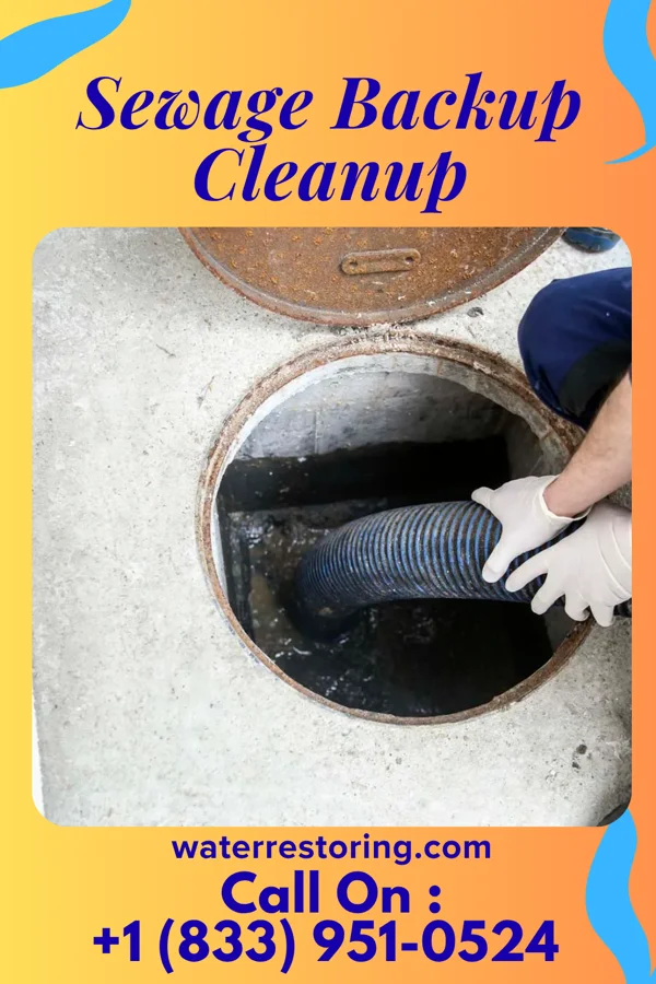 Sewage Backup Cleanup in Floridatown, FL